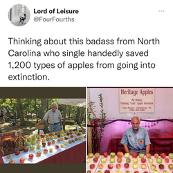 dude who saved the apples.png
