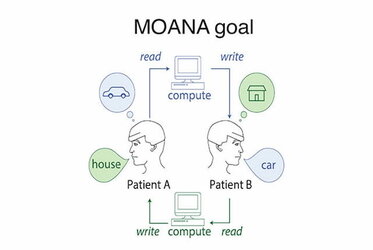 0415-MOANA-graphic-b.jpeg