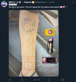 1656504569498.png