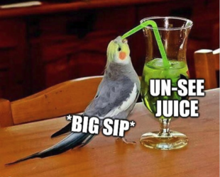 1615951367352.png