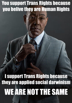 trans_rights_WANTS.jpg