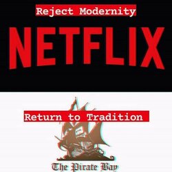 torrent-netflix.jpg