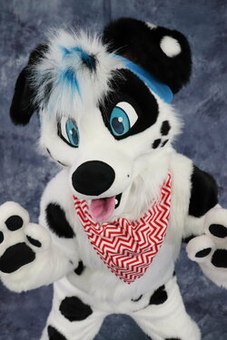 FWdW2DXUcAAW1KC.jpg