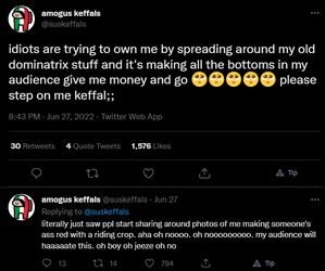 femdomtwitter.png
