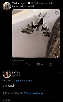 93CD8AFB-38F4-44B9-BA08-6F1D0AF91444.jpeg