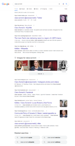 screencapture-google-search-202.png