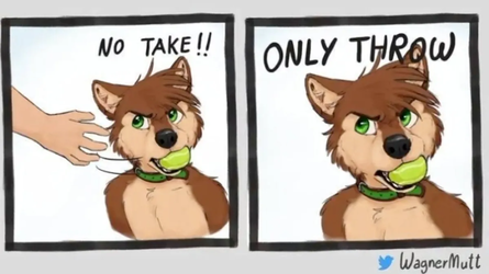 1656617866700.png