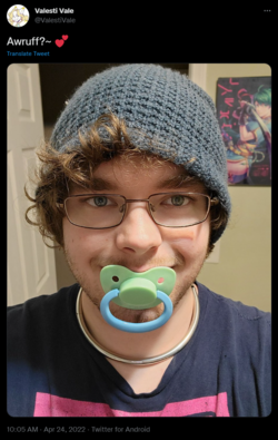 1656658154468.png