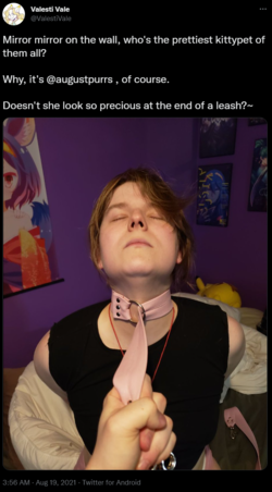1656659503436.png