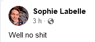 Screenshot 2022-07-02 at 02-17-45 Sophie Labelle.png