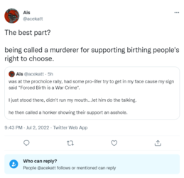 screencapture-twitter-acekatt-status-1543394957477789697-2022-07-02-22_16_16.png