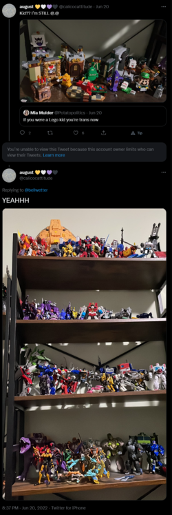 screencapture-twitter-calicocattitude-status-1539089986846445569-2022-07-02-20_36_38.png