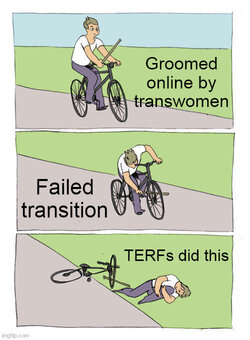 detransmalesinanutshell.jpg