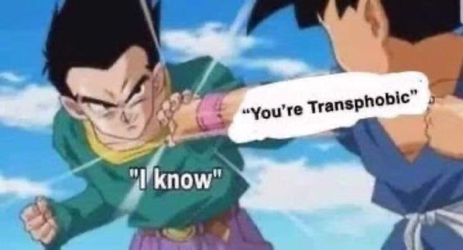 1656889655135.png