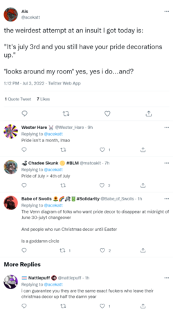 screencapture-twitter-acekatt-status-1543628723542425601-2022-07-03-22_27_02.png