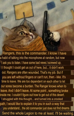 9mE2sJ6UOsE.translated.jpg