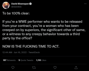 WWE_women_need_to_quit.png
