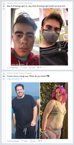 1656969596017.png
