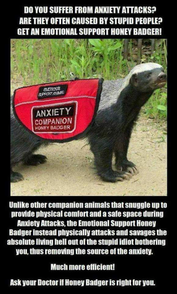emotional support honey badger.png