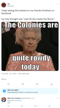 screencapture-twitter-acekatt-status-1544159782843596800-2022-07-05-05_49_54.png