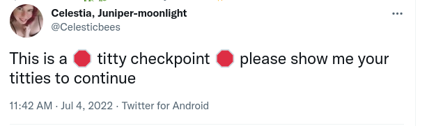 screenshot-twitter.com-2022.07.05-02_47_21.png