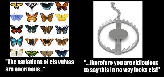 Untitled.png