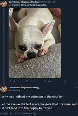 Untitled.png