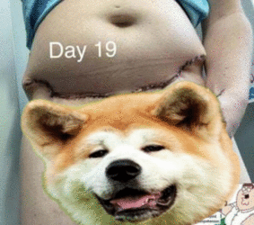 imageedit_7_4574075383.gif