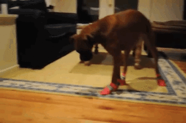 1657049092995.gif