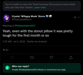 Screenshot 2022-07-06 at 02-42-28 Crystal 'Wifeguy Mode' Storm 💎⛈️ on Twitter.png