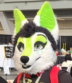 1657088835597.png