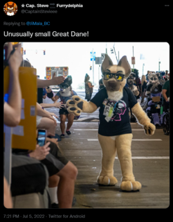 1657091338639.png
