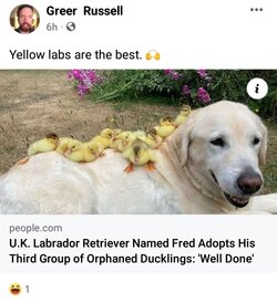 Screenshot_20220706-144123_Facebook.jpg