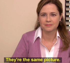 samepicture.png