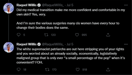 insecure and threatened 3.PNG