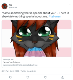 screencapture-twitter-acekatt-status-1544823995643617280-2022-07-06-23_46_30.png