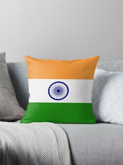 throwpillow,small,750x1000-bg,f8f8f8.u3.jpg