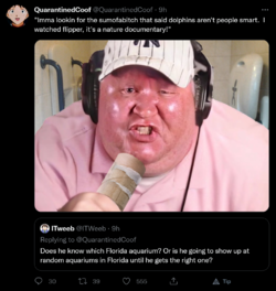 1657236811597.png
