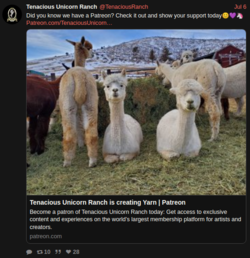 patreon shilling.PNG
