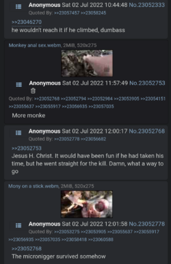 4channiggersbeingniggers1.png