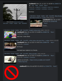 4chan2.png
