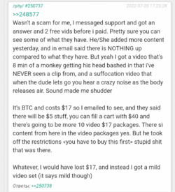 Pay2.png