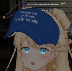 1657316181827.png