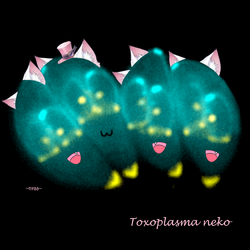 Toxoplasma_neko.png