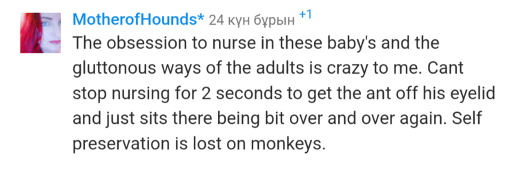 Mh1.png