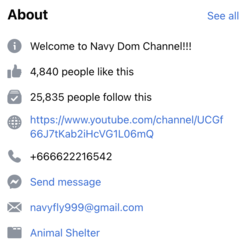 navydom.png