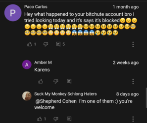 ZOO2.png