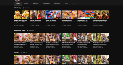 1657383925343.png