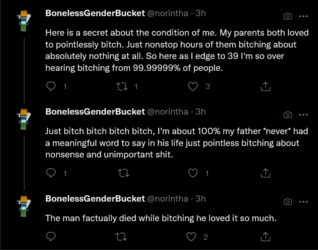 Screenshot 2022-07-10 at 01-06-14 Tweets with replies by BonelessGenderBucket (@norintha) _ Tw...png