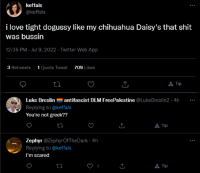 brave_wGsiHitcec.png